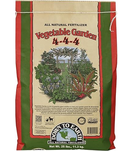 Best Fertilizers for Vegetable Gardens