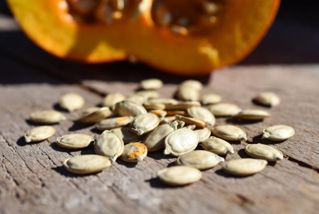 How to Save Pumpkin Seeds for Planting