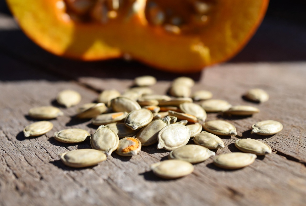 How to Save Pumpkin Seeds for Planting: A Gardener’s Guide