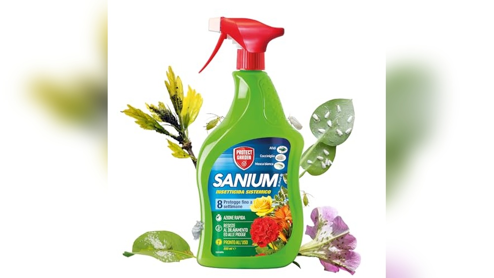 Best Spider Mite Spray for Indoor Plants 2026: Top Picks Reviewed