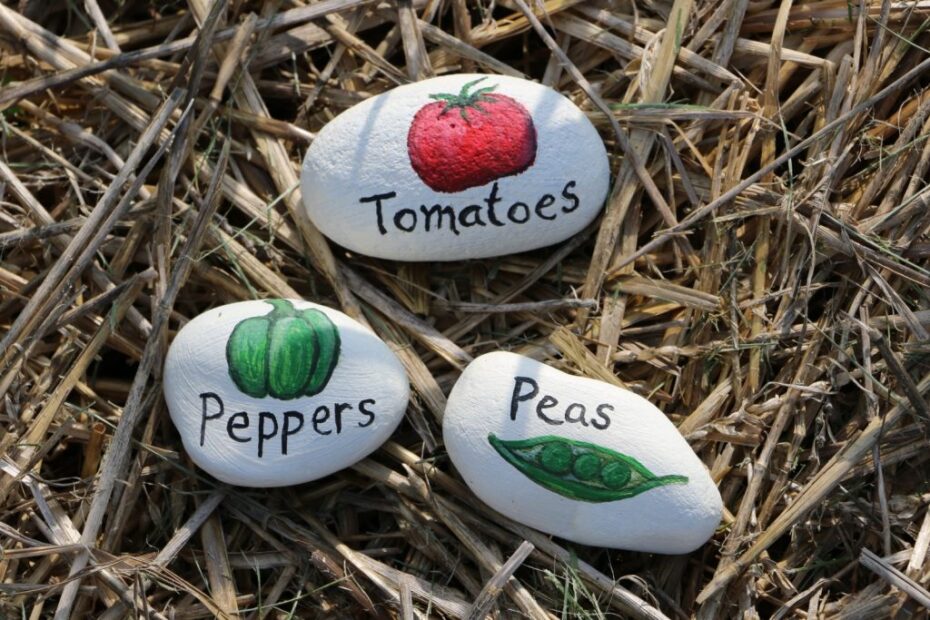 diy garden decor ideas