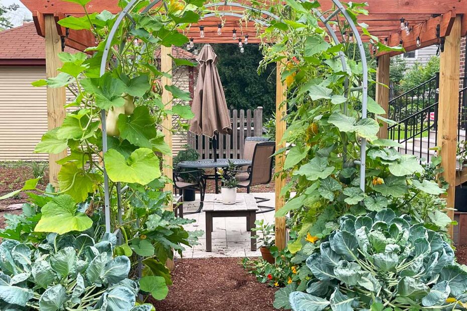 butternut squash vertically
